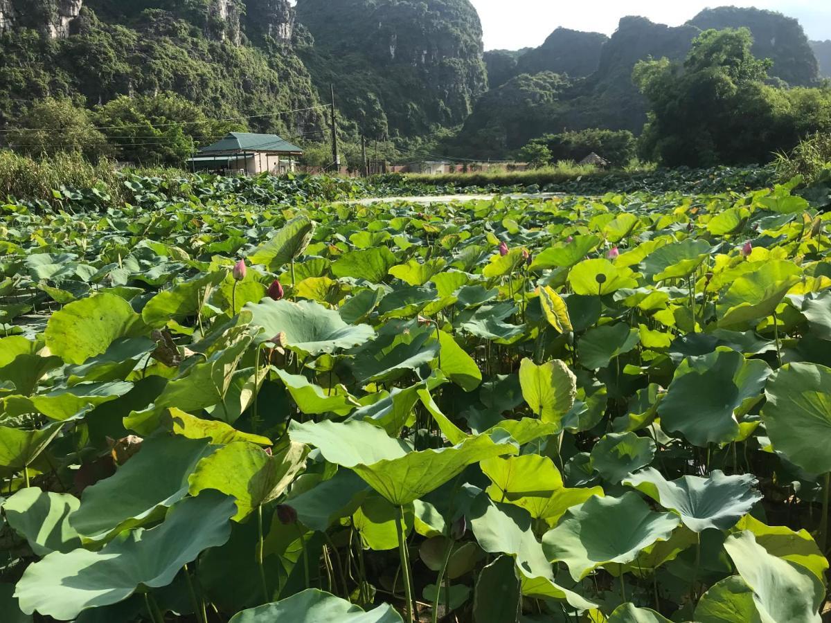 فندق Trang An Lim Garden Xuan Son المظهر الخارجي الصورة